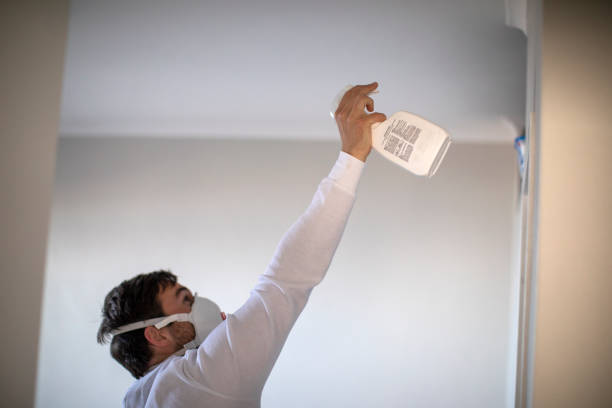 East Basin, UT Mold Removal Company
