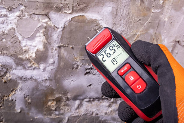 Office Mold Removal Services in East Basin, UT